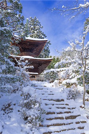 Taho-to Pagoda, Jojakkou-ji Temple, Sagano, Kyoto, Japan Photographie de stock - Rights-Managed, Code: 855-08420670