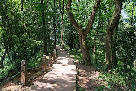 path not people not building not city - Qingcheng Shan, A holy Taoism mountain, Dujiangyan city, Sichuan Province, PRC Foto de stock - Con derechos protegidos, Código: 855-08420757