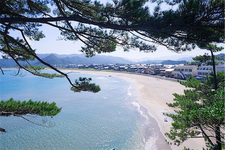simsearch:855-08420786,k - Pine tree with beach at Seaside resort of Uradome Coast,  Sea of Japan, Iwami-cho, Tottori Prefecture, Japan Photographie de stock - Rights-Managed, Code: 855-08420774