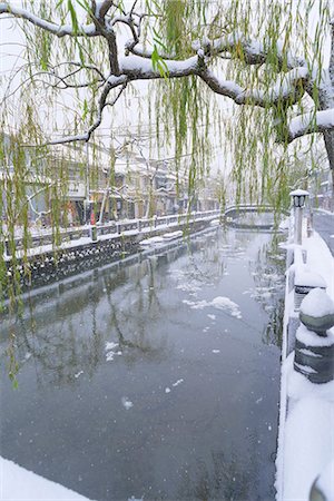 Snow on Otani river, Kinosaki Onsens (Hot springs) in winter. Kinosaki Hyogo Prefecture, Kansai, Japan Foto de stock - Con derechos protegidos, Código: 855-08420914