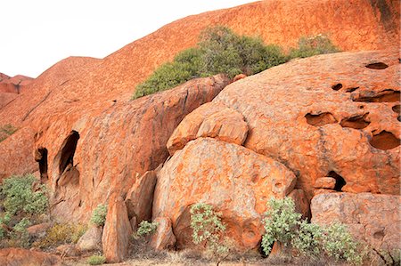 Uluru-Kata Tjuta National Park, Northern Territory, Central Australia Stock Photo - Rights-Managed, Code: 855-08536235