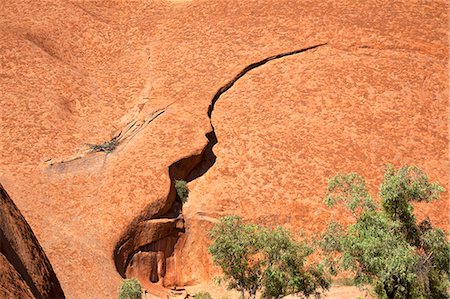 Uluru-Kata Tjuta National Park, Northern Territory, Central Australia Territory, Central Australia Photographie de stock - Rights-Managed, Code: 855-08536238