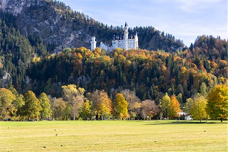 romantic road - Neuschwanstein castle surrounded by the beautiful autumn colour tree forest, Schwangau, Fussen, Bavaria, Germany Stock Photo - Rights-Managed, Code: 855-08781600