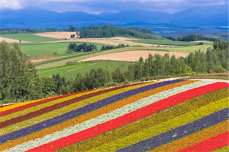 The beautiful hills of pattern on Shikisai-no-oka (Shikisai hill), Biei, Hokkaido, Japan Stock Photo - Rights-Managed, Code: 855-08781647