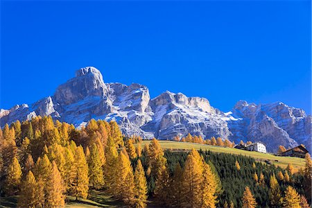 simsearch:855-08781660,k - Autumn larch colours at Dolomiti Alps, Dolomites, Italy Stockbilder - Lizenzpflichtiges, Bildnummer: 855-08781659