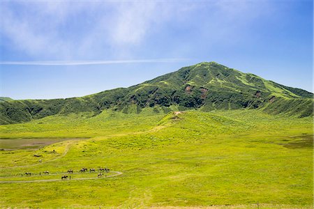 Kusasenrigahama, Aso, Kumamoto prefecture, Kyushu, Japan Photographie de stock - Rights-Managed, Code: 855-08781668