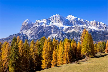 Autumn larch colours at Dolomiti Alps, Dolomites, Italy Foto de stock - Con derechos protegidos, Código: 855-08781662