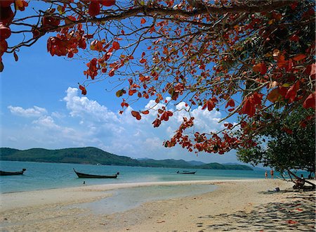simsearch:855-02986736,k - Lawa Island, Thaïlande Photographie de stock - Rights-Managed, Code: 855-02986680