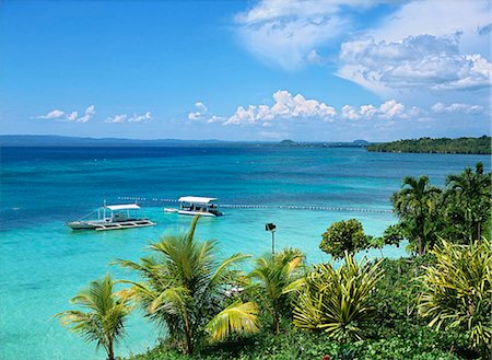 panglao island - Panglao Island Nature Resort Stock Photo - Rights-Managed, Code: 855-02987595