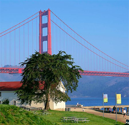 simsearch:855-02988065,k - Golden Gate Bridge from Marina, San Francisco Foto de stock - Direito Controlado, Número: 855-02988131