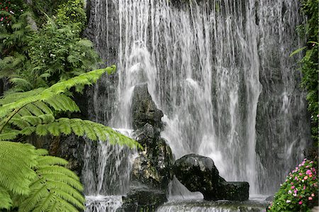 simsearch:855-02988628,k - Waterfall at Lungshan Temple, Taipei, Taiwan Foto de stock - Con derechos protegidos, Código: 855-02988608