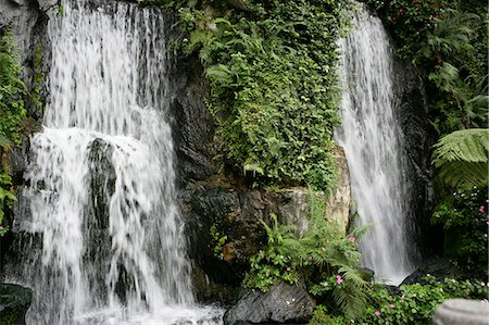 simsearch:855-02988628,k - Waterfall at Lungshan Temple, Taipei, Taiwan Foto de stock - Con derechos protegidos, Código: 855-02988609