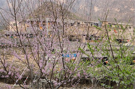 simsearch:855-02989385,k - Chuandixia village, Beijing environs, China Foto de stock - Con derechos protegidos, Código: 855-02989203