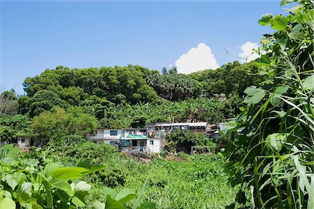 Local residence in Yung Shu Wan,Lamma Island,Hong Kong Fotografie stock - Rights-Managed, Codice: 855-03024119