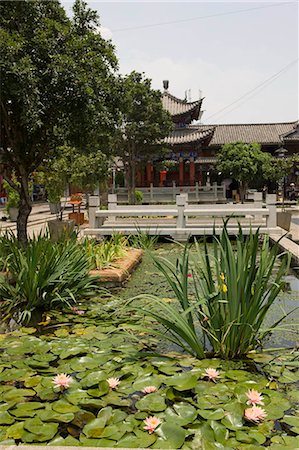 simsearch:855-03024852,k - Lotus pond in Old town of Dali,Yunnan Province,China Fotografie stock - Rights-Managed, Codice: 855-03024729