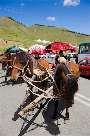 Chariots d'âne pour touriste à Nanshan ranch, Wulumuqi, Xinjiang Uyghur autonomie district, route de la soie, Chine Photographie de stock - Rights-Managed, Code: 855-03024793