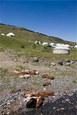 Kazakh yurts for tourist accommodation,Xi Baiyanggou,Nanshan ranch,Wulumuqi,Xinjiang Uyghur autonomy district,Silk Road,China Stock Photo - Rights-Managed, Code: 855-03024810