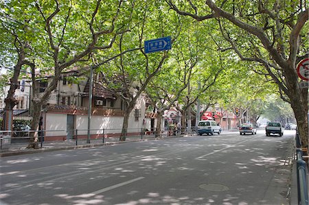 Avenue des pruniers sur Shanxi Rd (S), Shanghai, Chine Photographie de stock - Rights-Managed, Code: 855-03026174