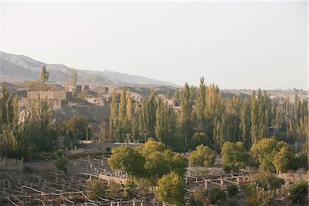 Village de Mutougou (Mutouq), Turpan, Xinjiang, Chine Photographie de stock - Rights-Managed, Code: 855-03026406