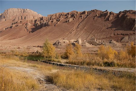 Autumn tint of Huyang trees at Shengjinkou,Turpan,Xinjiang,China Stock Photo - Rights-Managed, Code: 855-03026447