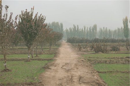 provincia di xinjiang - Countryside of Kuche (Kuqa),Xinjiang,China Fotografie stock - Rights-Managed, Codice: 855-03026488