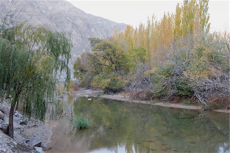 provincia di xinjiang - Peacock River running through the ancient Silkroad,Kuerle (Korla),Xinjiang,China Fotografie stock - Rights-Managed, Codice: 855-03026483