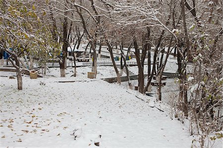 Hongshan Park in snow,Wulumuqi (Urumqi),Xinjiang,China Stock Photo - Rights-Managed, Code: 855-03026576