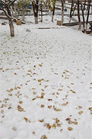 Hongshan Park dans la neige, Wulumuqi (Urumqi), Xinjiang, Chine Photographie de stock - Rights-Managed, Code: 855-03026577