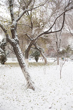 Hongshan Park in snow,Wulumuqi (Urumqi),Xinjiang,China Stock Photo - Rights-Managed, Code: 855-03026572