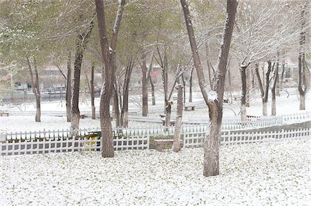 Hongshan Park dans la neige, Wulumuqi (Urumqi), Xinjiang, Chine Photographie de stock - Rights-Managed, Code: 855-03026584