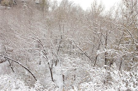 Hongshan Park dans la neige, Wulumuqi (Urumqi), Xinjiang, Chine Photographie de stock - Rights-Managed, Code: 855-03026581