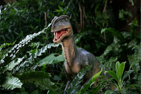 simsearch:855-03024285,k - Dinosaurs park,Ocean Park,Hong Kong Stock Photo - Rights-Managed, Code: 855-03022310