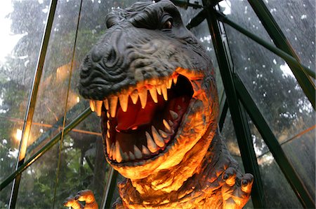simsearch:855-03024271,k - Dinosaurs park, Ocean Park, Hong Kong Photographie de stock - Rights-Managed, Code: 855-03022311