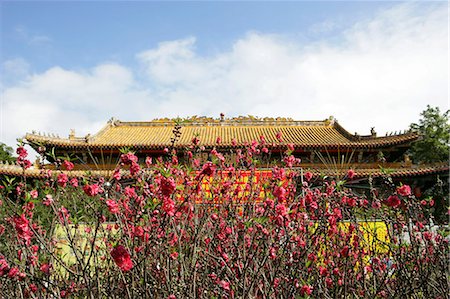 simsearch:855-03022365,k - Po Lin Monastery,Lantau Island,Hong Kong Stock Photo - Rights-Managed, Code: 855-03022356