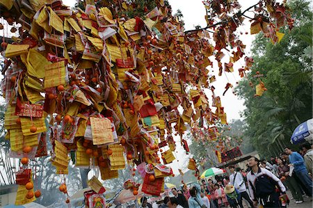 simsearch:855-03022367,k - Wishing tree at Taipo,Hong Kong Foto de stock - Con derechos protegidos, Código: 855-03022387