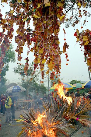 simsearch:855-05983077,k - Wishing tree at Taipo,Hong Kong Foto de stock - Direito Controlado, Número: 855-03022389