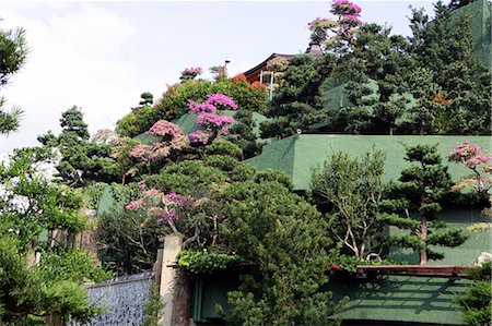 diamond hill - Chi Lin Nunnery chinese garden,Diamond Hill,Hong Kong Stock Photo - Rights-Managed, Code: 855-03022564