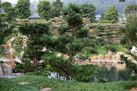 Pond,Chi Lin Nunnery chinese garden,Diamond Hill,Hong Kong Stock Photo - Rights-Managed, Code: 855-03022578