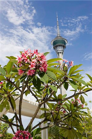 Sai Wan Bridge and Macau Tower,Macau Stock Photo - Rights-Managed, Code: 855-03022654