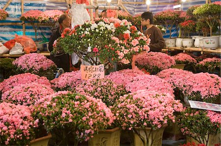 Flower market for celebrating the Chinese new year,Hong Kong Foto de stock - Con derechos protegidos, Código: 855-03023058