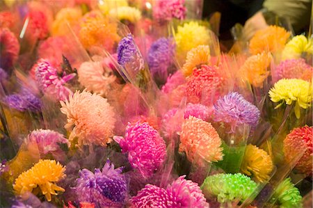 Flower market for celebrating the Chinese new year,Hong Kong Foto de stock - Con derechos protegidos, Código: 855-03023073