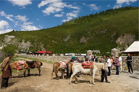 simsearch:855-03023485,k - Cheval d'équitation pour touriste à Shangri-La, Yunnan, Chine Photographie de stock - Rights-Managed, Code: 855-03023386