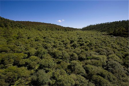 Aerial view of Jiasheng grassland from ropeway,Shangrila,China Stock Photo - Rights-Managed, Code: 855-03023409