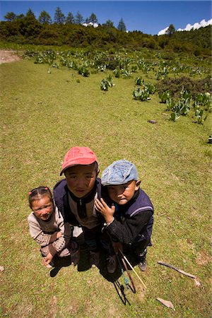 Enfants tibétains à Simone Prairie, Blue Moon Valley, Shangri-la, Chine Photographie de stock - Rights-Managed, Code: 855-03023485