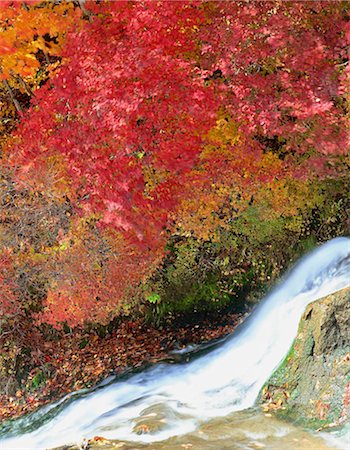 Stream, Japan Stock Photo - Rights-Managed, Code: 855-03254987