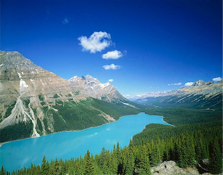Peyto Lake au Sommet Bow, province du Parc National Banff, Alberta, Canada Photographie de stock - Rights-Managed, Code: 855-03255015
