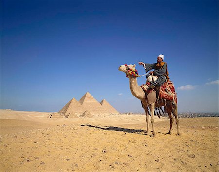 Pyramid and caravan camel, Egypt Foto de stock - Direito Controlado, Número: 855-03255158