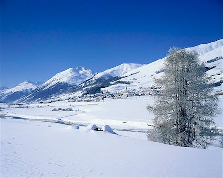 snow mountain town - Grindelwald valley, Switzerland Stock Photo - Rights-Managed, Code: 855-03255197