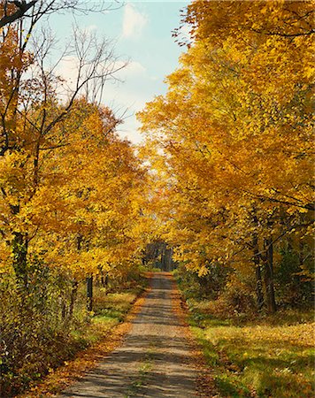 pathway usa not people - New England, Vermont, USA Stock Photo - Rights-Managed, Code: 855-03255225