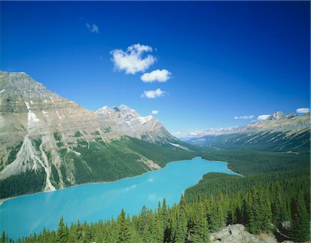 Peyto Lake at Bow summit . Banff National Park, Alberta province, Canada Foto de stock - Con derechos protegidos, Código: 855-03255330